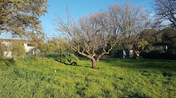 terrain à Roquebrune-sur-Argens (83)