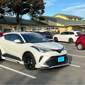 C-HR ZYX11