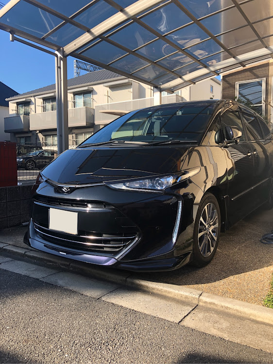 エスティマのエスティマ50・洗車・ジアラエアロ・鳥フン爆弾に関するカスタム事例の投稿画像1枚目