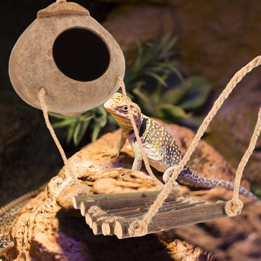 images slider number - 5