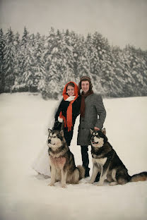 Wedding photographer Aleksey Kamyshev (alkam). Photo of 12 February 2016