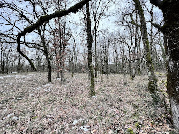 terrain à Figeac (46)