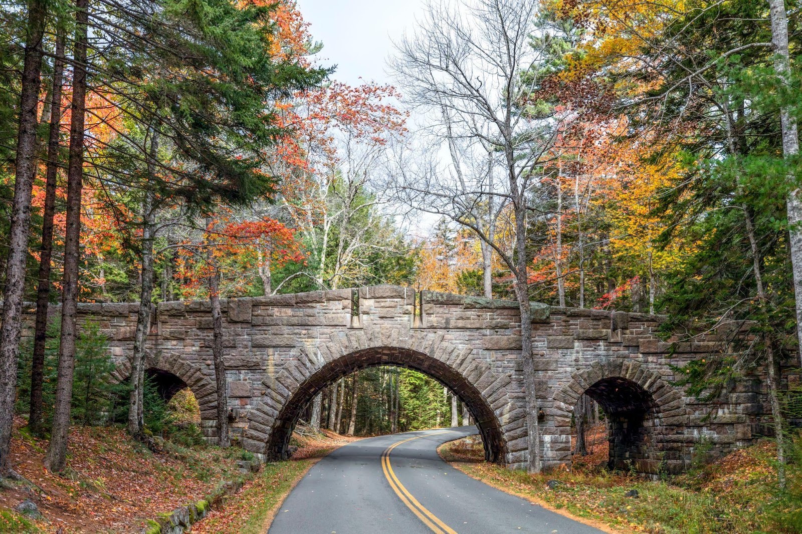 A historic bridge in Acadia National Park