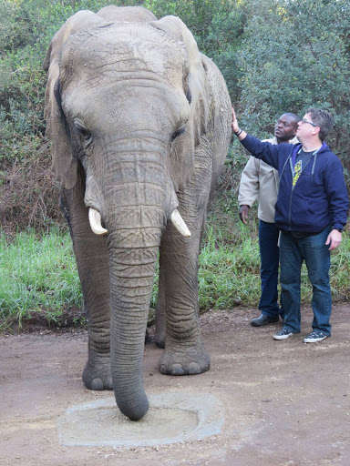 Elephants Rescue & Refuge South Africa 2017