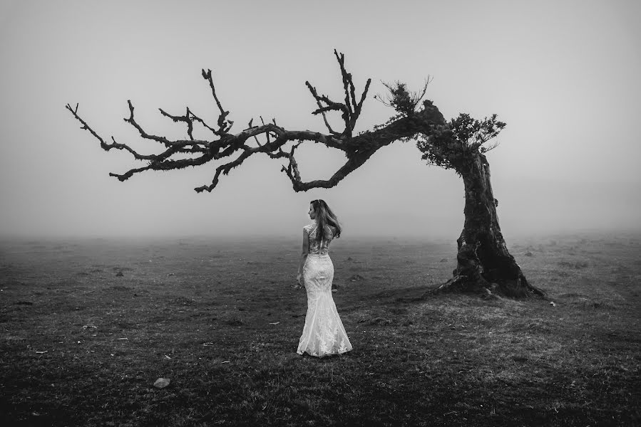 Fotografo di matrimoni Miguel Ponte (cmiguelponte). Foto del 1 ottobre 2018