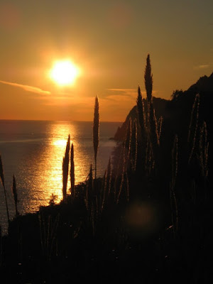 Luce Tramonti a Nord Est di 74elrodo