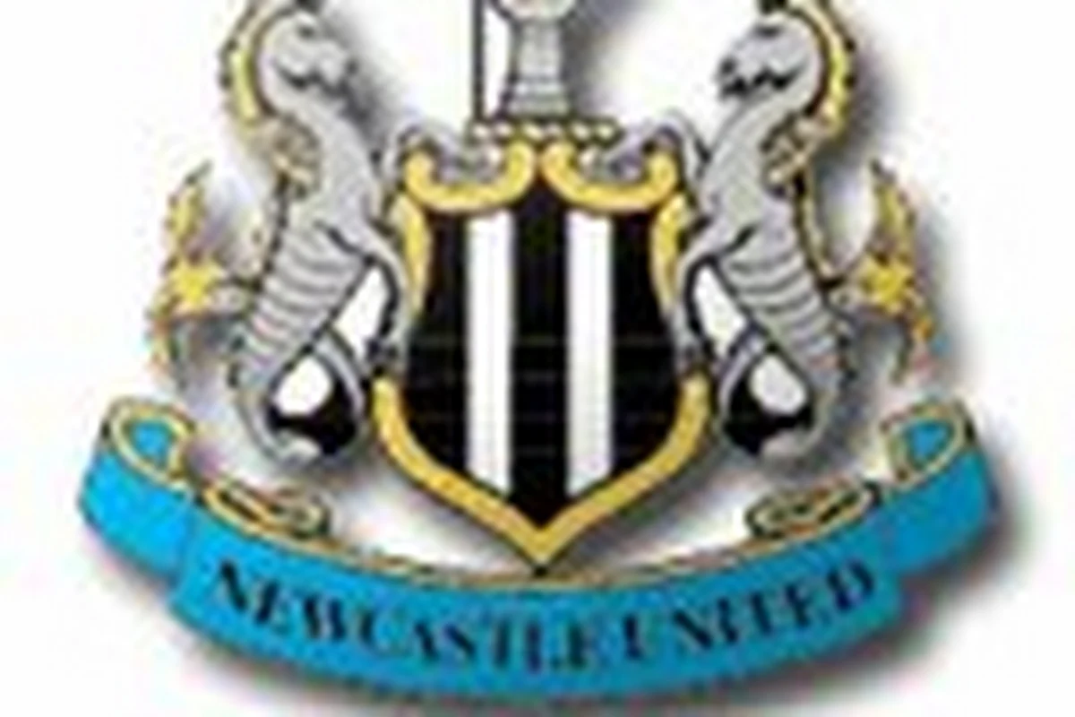 Newcastle est Ã  vendre