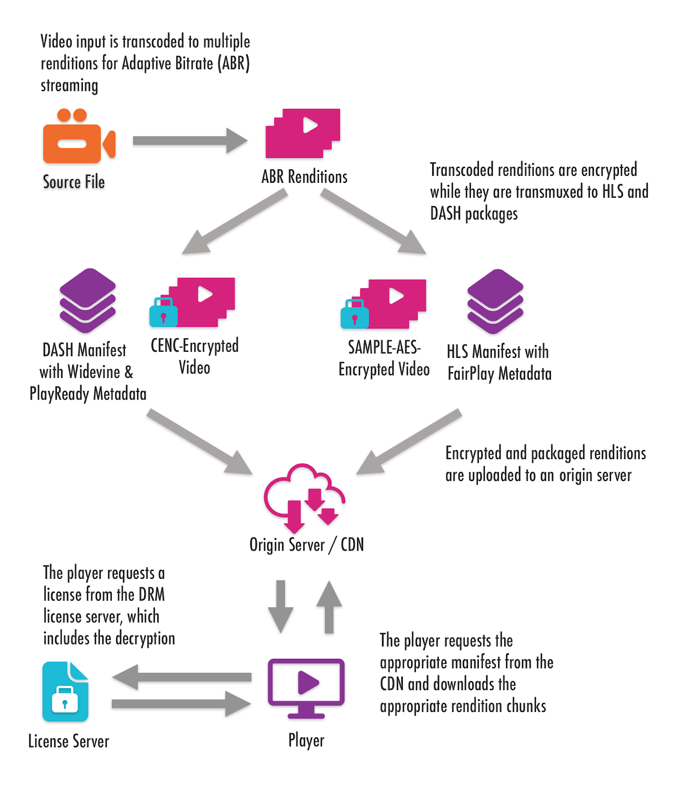 Video Inpot is Transcoded to Multiple Renditions for ABR streaming 