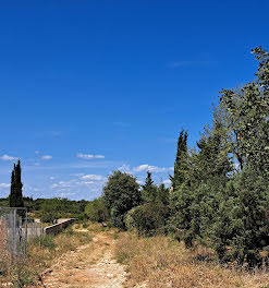 terrain à Poulx (30)