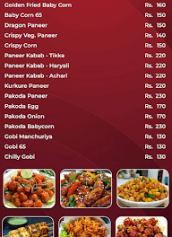 Al Ridaan Multicuisine Restaurant menu 2