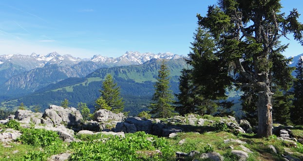  ​Besler Gipfel Ausblick Marchspitze Großer Krottenkopf KratzerTrettachspitze Mädelegabel Hochfrottspitze, Obermaiselstein Allgäu