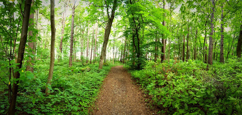 Treekking di AZ_photos