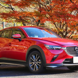 CX-3 DK5FW