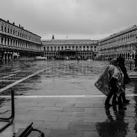 Venice Rain di 