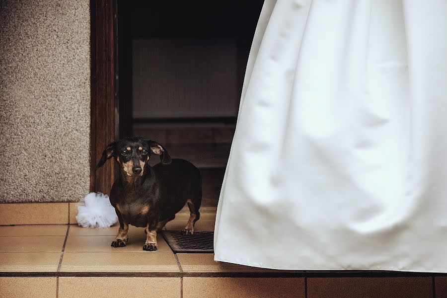 Fotógrafo de casamento Julia Tomasz Piechel (migafka). Foto de 3 de janeiro 2017