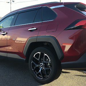 RAV4 MXAA54