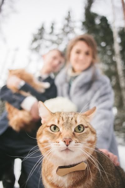 Wedding photographer Aleksandr Lisicin (foxylis). Photo of 5 March 2017