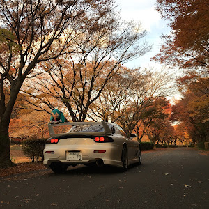 RX-7 FD3S 後期