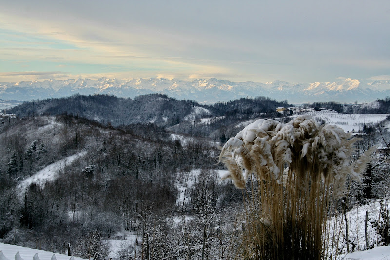 Langhe in inverno di smpaint