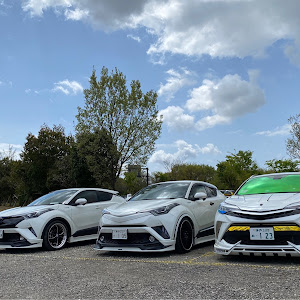 C-HR ZYX10