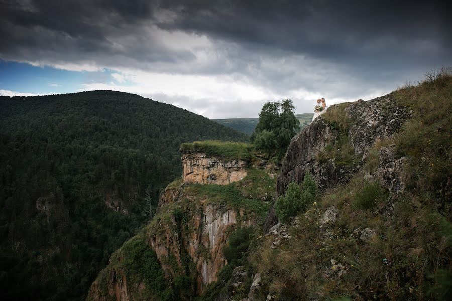 Весільний фотограф Олег Рой (olegroy). Фотографія від 29 серпня 2017