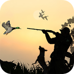 Duck Hunting 3D Apk