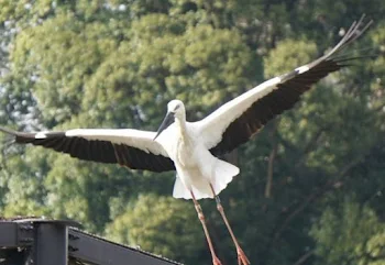 ママへの怒り