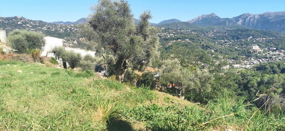 Vente terrain  3015 m² à Contes (06390), 190 000 €