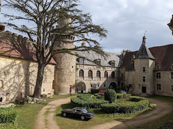 château à Veauce (03)