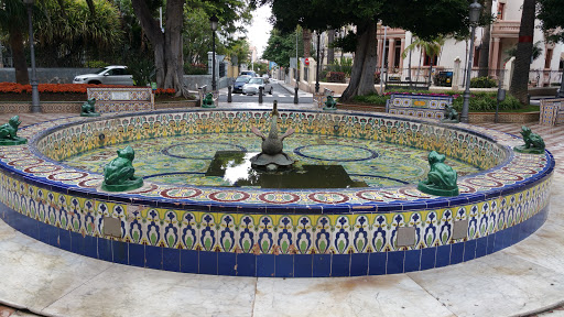 Plaza de los patos