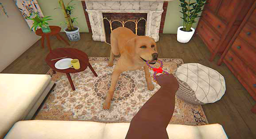 House FLipper Pets Tips