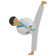 TKD Scoring 1.6 Icon