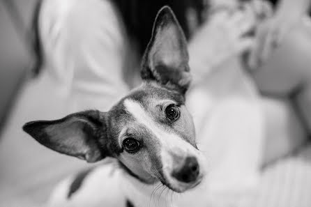 Wedding photographer Valentina Likina (likinaphoto). Photo of 29 September 2022