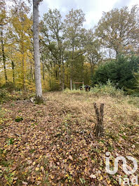 terrain à Bazoches-sur-le-Betz (45)