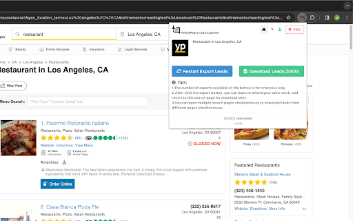 YellowPages Lead Exporter