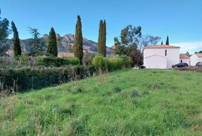  Vente Terrain + Maison - Terrain : 800m² - Maison : 115m² à Roquebrune-sur Argens (83520) 