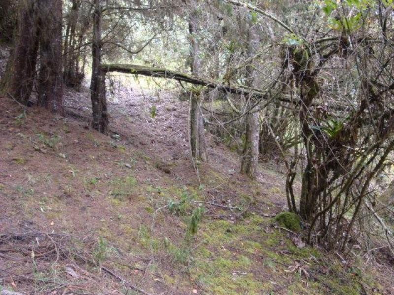 Lote En Venta - La Calera, La Calera