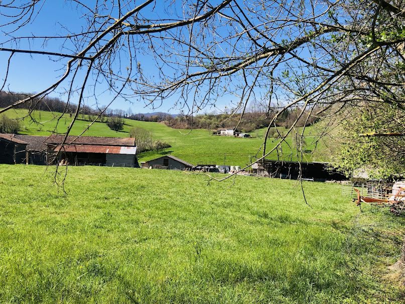 Vente terrain  2690 m² à Montjoie-en-Couserans (09200), 47 000 €