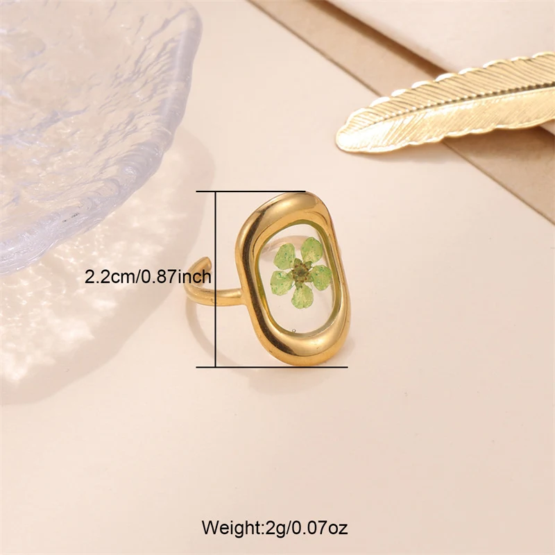 Nieuwe serie roestvrijstalen ring met geconserveerde bloemen, vervaagt niet, duurzame schoonheid voor jou