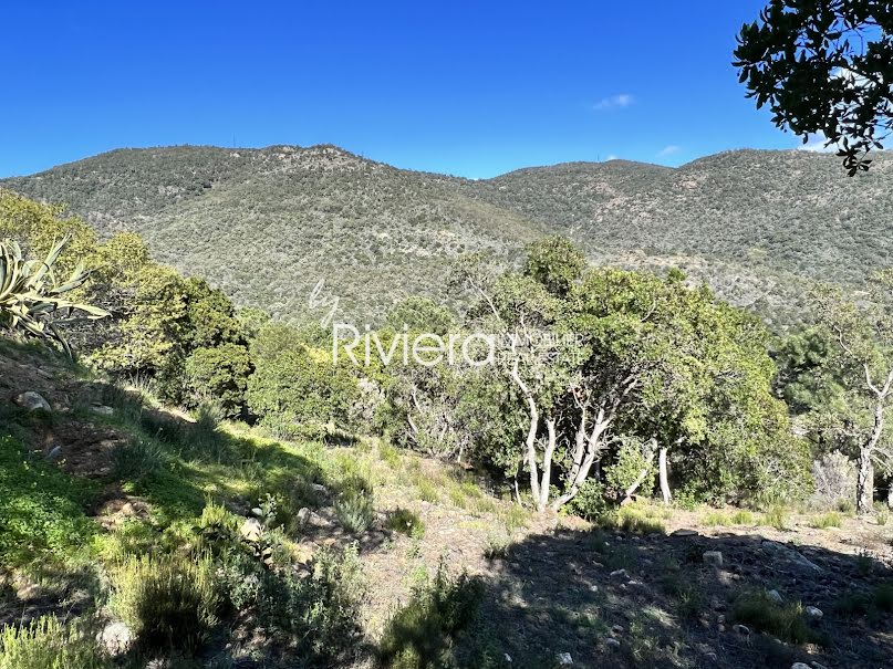 Vente terrain  2500 m² à Rayol-Canadel-sur-Mer (83820), 1 260 000 €