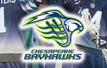 Chesapeake Bayhawks New Tab small promo image