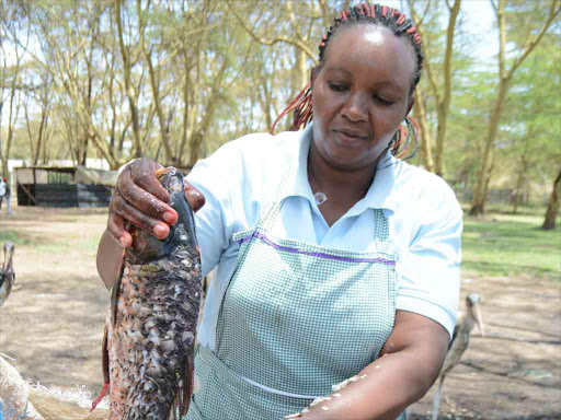 A trader prepares fish at Karagita landing beach in Lake Naivasha.