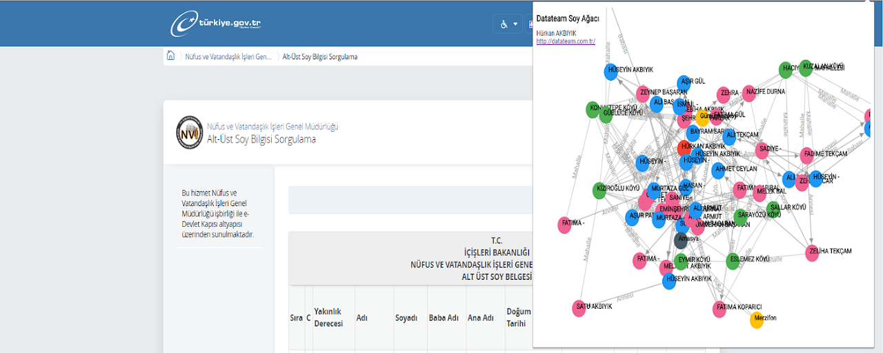 e-devlet Soyağacı Çizge Görselleştirmesi Preview image 2