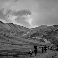 Carovana verso il cielo di 