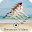Reverse Video Movie FX : Magic Video Editor Download on Windows