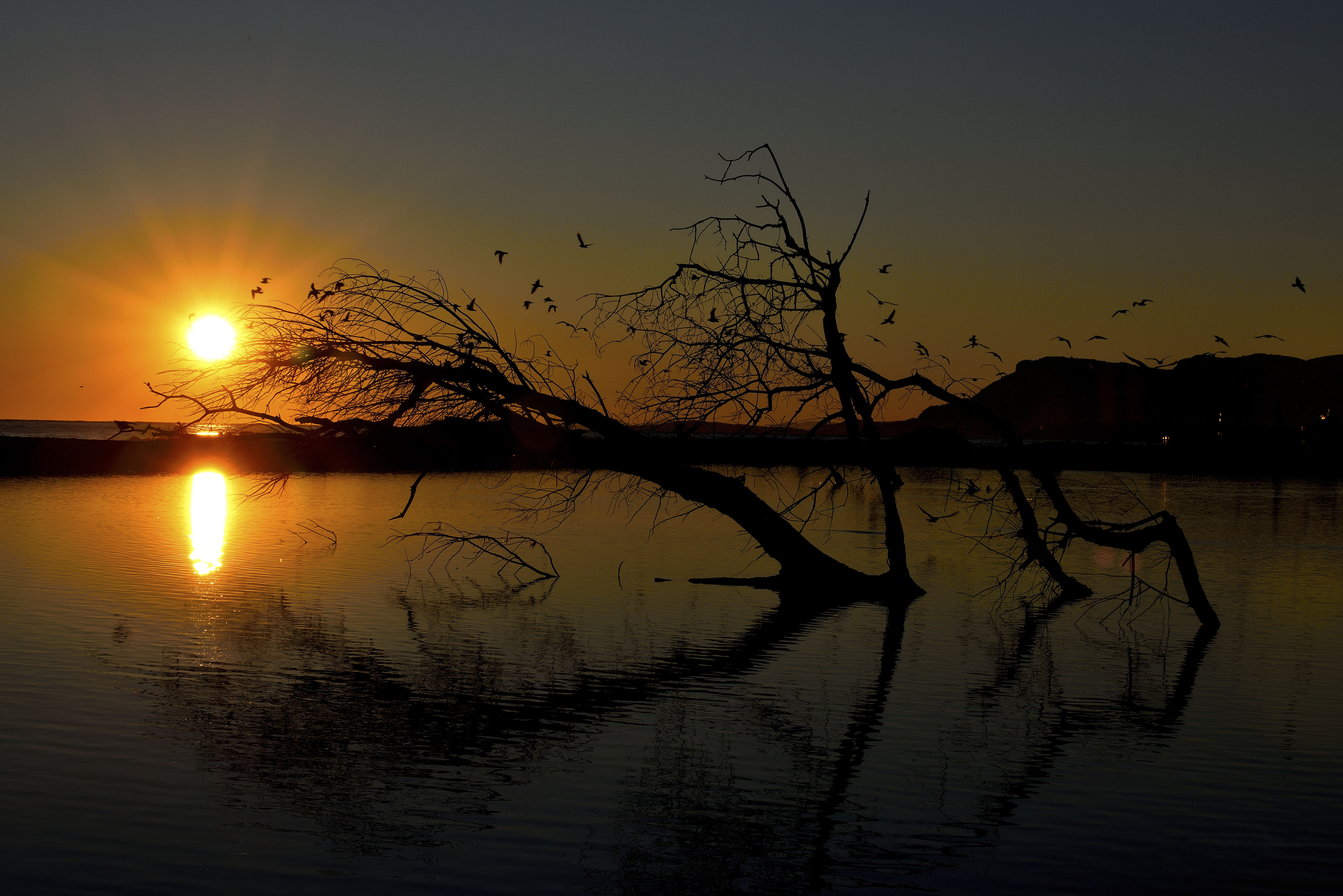 L'Oasi al tramonto  di Ocram