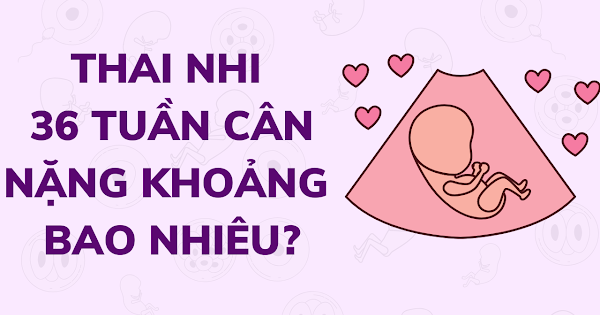 Thai nhi 36 tuần cân nặng bao nhiêu và những lưu ý mẹ cần biết | Bé Yêu