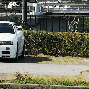 スカイライン GT-R BNR34