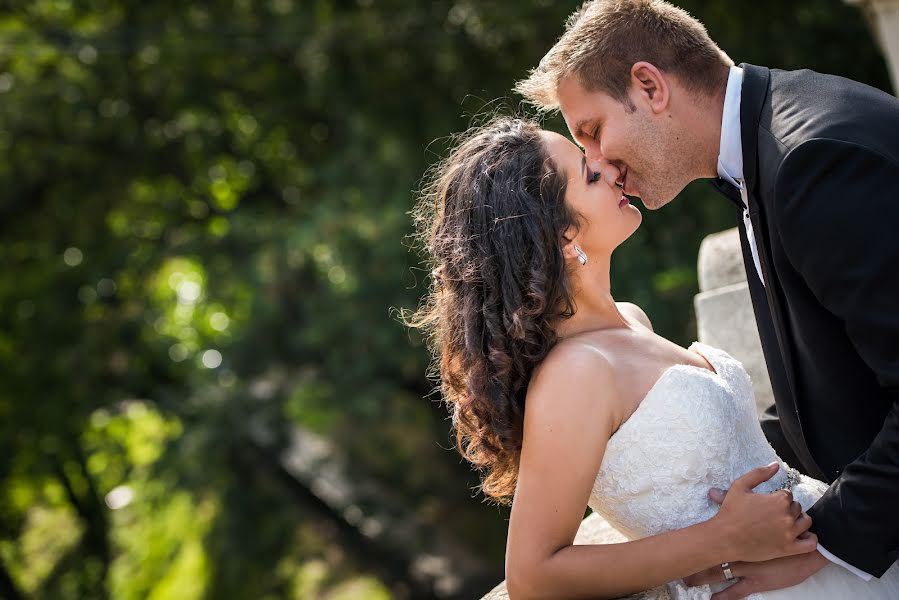 Wedding photographer Marius Andron (mariusandron). Photo of 13 February 2016