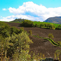 La primavera cede il passo all'estate di 